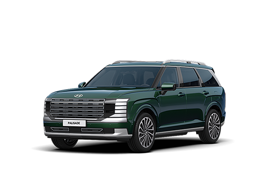 팰리세이드 이미지 18